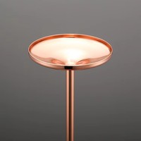 Gobelet en acier inoxydable de 200 ml style Ins, créatif, pour restaurant, plateau à snacks, noix, poulet frit, martini, margarita, pour fêtes