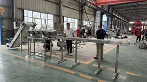 Ilaç gıda işleme için gıda sınıfı bant konveyör - Product Image 4