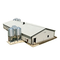 Gallinero Prefabricado Moderno de Estructura de Acero Anticorrosión para Cría en Capas, Base Duradera para Cría de Aves de Corral, Personalizable