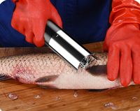Écailleur de poisson électrique et manuel