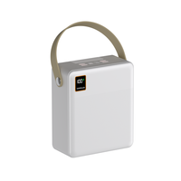 Batterie externe haute capacité 100 000 mAh en gros, chargeur rapide multi-sorties avec lampe de camping LED et batterie externe personnalisée