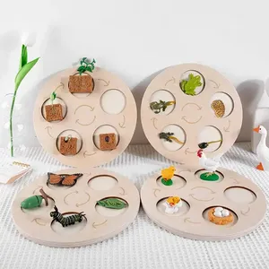 Tier-und Pflanzens imulation Life Cycle Board Kinder Montessori Holz kognitives Lernspiel zeug