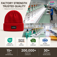 Bonnet tricoté personnalisé, côtelé, à revers, chaud, extensible, taille unique, hiver, automne, extérieur, décontracté, unisexe, OEM, vente en gros, faible MOQ