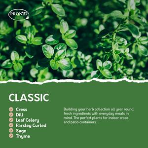 Kit de jardin d'herbes <span class=keywords><strong>aromatiques</strong></span> et classiques pour la maison comprenant des herbes <span class=keywords><strong>aromatiques</strong></span> et classiques pour cultiver votre propre jardin - Product Image 4