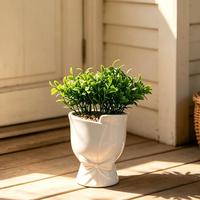 Fournisseur en gros de petites plantes succulentes artificielles avec pot de fleurs, décoration intérieure, pots de jardin durables