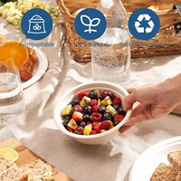 Assiette jetable dégradable classique en bagasse de fibre de bambou ensemble de vaisselle en plastique stocké respectueux de l'environnement