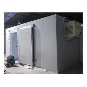 Heleng mini formato freddo congelamento refrigerazione cella frigorifera per la cella frigorifera per la carne fresca