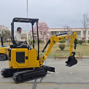 YOUTOP kalite YT25 ekskavatör ithal pompa ve hidrolik sistem yan salıncak bom geri çekilebilir parça iki hız - Product Image 2