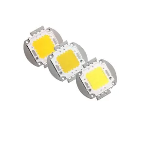 Module de puce Led haute puissance 12VDC 3000K 100W 100lm/w 150lm/w puce Bridgelux