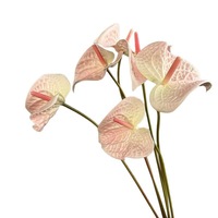 Hochwertige Calla-Lilie mit Echtgefühl, 59cm Künstliche PVC-Calla-Lilie für Festival-, Hotel- und Hochzeitsdekoration