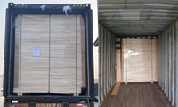 Ataúd Grande de Madera Maciza Ecológico y Biodegradable para Entierro de Bebés y Adultos, Tradicional Europeo, Americano y del Reino Unido