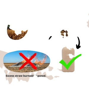 Bơm bao bì rơm lúa mì phân hủy sinh học chai tắm dầu gội rỗng bao bì mỹ phẩm tre sinh thái thân thiện nhà - Product Image 2