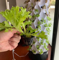 Tour de culture hydroponique verticale pour ananas, système de culture sans sol pour serre intérieure, jardinage de légumes, système de culture compact
