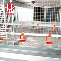 Cage à poulets de chair à 3 niveaux de type H avec plancher en plastique à lattes, alimentation et abreuvement automatiques, système d'évacuation du fumier, mangeoire pour poulets de chair, abreuvoir à tétine, OEM