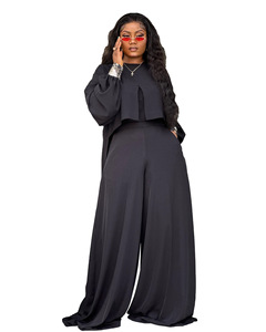 N8153-2026 Nuevo Conjunto de 2 Piezas para Mujer, Talla Grande 4XL, Estilo Casual, Color Sólido, Top Corto con Mangas Farol y Pantalones Anchos Holgados - Product Image 4