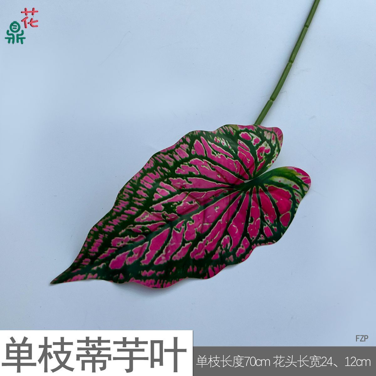 Feuille de taro à tige unique FZP Vert rayé rose rose