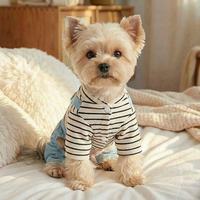 Salopette en polyester rayée pour chien et chat, style décontracté, avec bretelles en jean et patchs arc-en-ciel, collection printemps-été, vente en gros