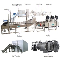 Gevriesdroogd Fruit Snacks Appelchips Maken Machine Verwerkingslijn Auto Fruit Wasmachine Dunschiller Corer Snijmachine Vriezer Vriesdroger