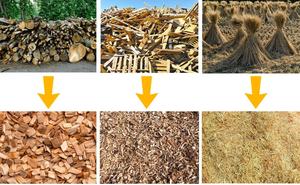 Machine à palettes Déchiqueteuse à bois Concasseur à bois complet Concasseur à feuilles de <span class=keywords><strong>palmier</strong></span> - Product Image 6