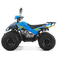 Quadricycle Tao Motor 2025 tout-terrain, économique, à essence, Cuatrimoto, automatique, moteur 4 temps 125cc