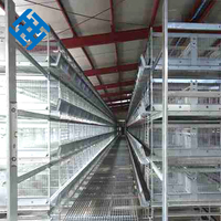 Équipement d'élevage avicole pour poules pondeuses, cage à poules de 70 places, grillage, poulailler à enclos libre, prix d'usine, soudure