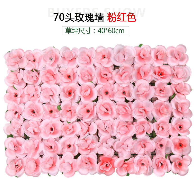 70 tête rose mur rose