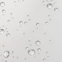 Feuille de bâche d'échafaudage de tissu en plastique de bâche de bâche imperméable de PE pour la couverture industrielle d'agriculture