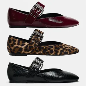Nouvelles Chaussures Plates Femme à Bout Pointu, Style Ballerines et Mocassins, Motif Léopard Rétro, Collection Automne, Chaussures Habillées - Product Image 1