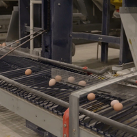 conception efficace de cage à poulets Cages à poulets multi-couches pour l'élevage de volailles pour la gestion des couches