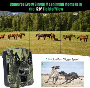 4G thể thao ngoài trời săn bắn máy ảnh IR tầm nhìn ban đêm SMTP/FTP <span class=keywords><strong>email</strong></span> nhận được hình ảnh <span class=keywords><strong>video</strong></span> động vật hoang dã Đường Mòn máy ảnh - Product Image 4