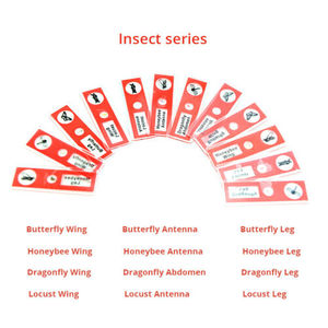 Portaobjetos de Plástico Preparados para Niños - Muestras de Animales, Insectos y Plantas para Microscopio Biológico Monocular - Product Image 3