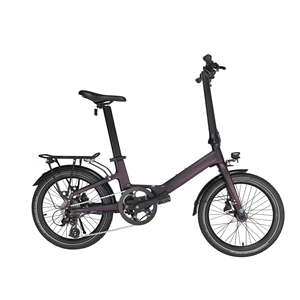 Bicicleta eléctrica Naicisports PILOT X7 de 20 pulgadas de carbono plegable, ultraligera, potencia del motor de 250W con stock DE LA UE y servicio OEM - Product Image 6
