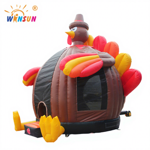 Castillo Inflable Comercial WINSUN, Casa de Brinco con Color Personalizado, Ignífugo, Fácil de Instalar para Fiestas, Parques Infantiles y Uso en Exteriores - Product Image 1