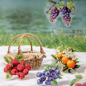 15 feuilles/paquet double matériel autocollant Pack Collection <span class=keywords><strong>de</strong></span> cueillette <span class=keywords><strong>de</strong></span> fruits sur le thème des baies décorations <span class=keywords><strong>de</strong></span> bricolage - Product Image 3