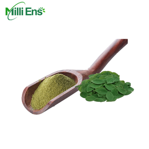 2025 порошок для пищевых листьев, органический порошок для Моринги, для фитотерапии, по низкой цене, для здоровья, используется порошок, экспортер - Product Image 1