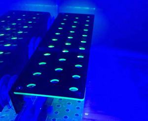 Support de prise acrylique pour aquarium Coral M Coral frag Rack Magnetic Holder Reef Holder for frag Rack - Product Image 5