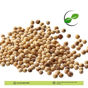 Cultivé dans un sol tropical riche, le poivre blanc de Sulawesi d'Indonésie séché cru fait ressortir la profondeur naturelle et l'équilibre dans chaque application - Product Image 2