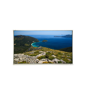 Panneau LCD M215HW03 V1QA de 21,5 pouces, écran LCD TFT 1920*1080, entièrement neuf - Product Image 1