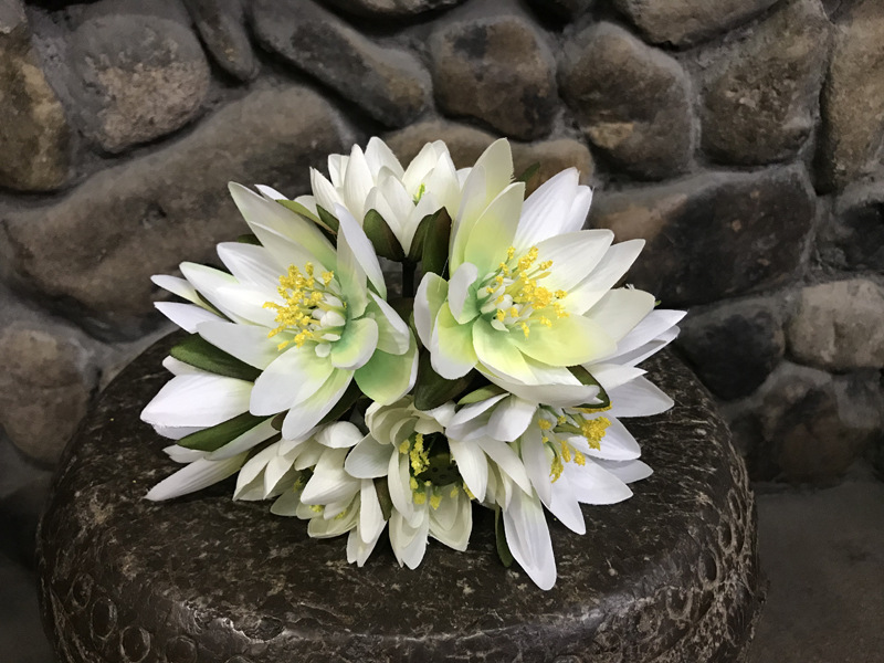 Bianco