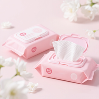 Pochette d'emballage de mouchoirs en mylar refermable avec logo personnalisé, couvercle rabattable, sacs en plastique vides humides pour tampons, paquets pour masques de soin de la peau