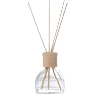 Diffuseur d'aromathérapie créatif en verre grande capacité 100 ml pour hôtel, gîte, salle de bain – Bouteille vide personnalisable en gros