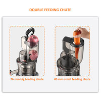 Oem Op Maat Gemaakte Exprimidor Lento Slow Juicer Lage Snelheid Koude Pers Met Hoge Capaciteit Omgekeerde Lage Ruisfunctie