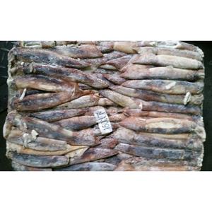 <span class=keywords><strong>Pulpo</strong></span> Bebé <span class=keywords><strong>Congelado</strong></span>, Marisco Envasado en Bolsa - Product Image 6