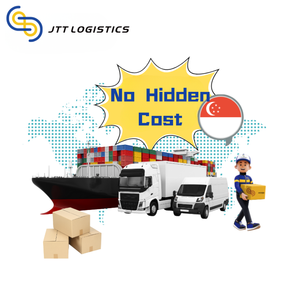 Transporteur maritime FCL LCL de conteneur complet de Shanghai Shenzhen CIF Transport à Singapour à des tarifs compétitifs - Product Image 1