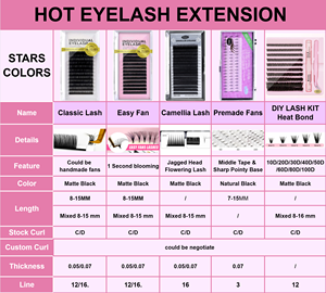 Bán Buôn Cashmere Lash Mở Rộng Khay Khối Lượng Lông Mi Matte Màu Đen Dễ Dàng Quạt 0.03 0.05 C D Curl Lông Mi Mở Rộng Nguồn Cung Cấp - Product Image 3