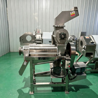 RVS Auger Juicer Dubbele Schroef Crusher Juicer Commerciële Elektrische Koudgeperste Fruit- en Groentemachine