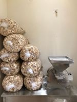 Commerciële industriële slijpmachine van roestvrij staal voor het malen van baobabvruchten.