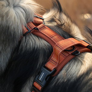 สายรัดสุนัขแบบปรับได้ Sunraymascota รุ่น Heavy Duty ป้องกันการดึง  คอลเลคชั่น Heritage  สายรัดสุนัขดีไซน์เนอร์  พร้อมโลโก้สั่งทำ - Product Image 2