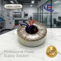 Özel Düşük Sessizlikli Toroidal Trafo 200VA 230V - 12V Kulaklık Amplifikatörü için
