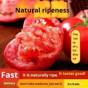 Tomates de Provence à <span class=keywords><strong>chair</strong></span> de sable du Yunnan 2.5kg Grandes tomates fraîches à peau de fer - Product Image 4